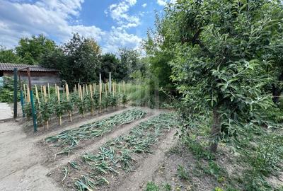 Casă spațioasă in Seica Mare - Centru | 92mpu 638mp teren - EXCLUSIVITATE - 7