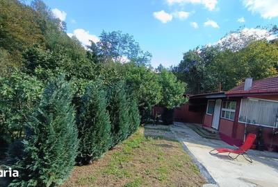 Casă cu 4 camere cu Teren 705 Mp în Copăcel - 18
