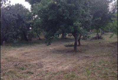 Casă cu 3 camere în Pleașa - 5