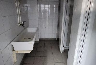 Spatiu industrial productie/ depozitare, Timiș - 29