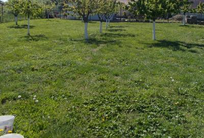 Casă individuală cu 4 camere cu Teren 1190 Mp în Parța - 10