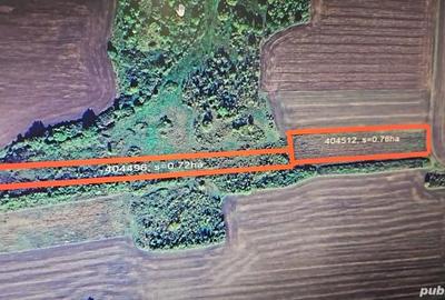 Teren de 15000 mp, în Folea - 2