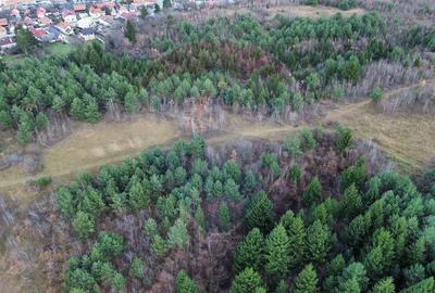 Comision 0%! Teren Sacele / Strada Valea Larga 2000 mp - 8