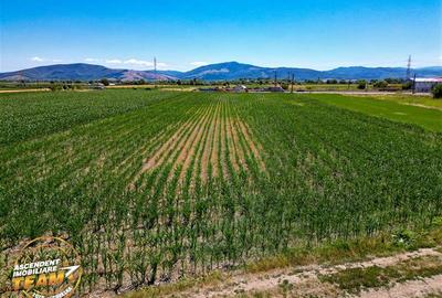 Teren Construcții intravilan de 8400 mp, în Chichiș - 5