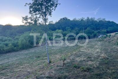 Teren intravilan 2162 mp cu deschidere de 33m Jiblea Veche Calimanesti - 5