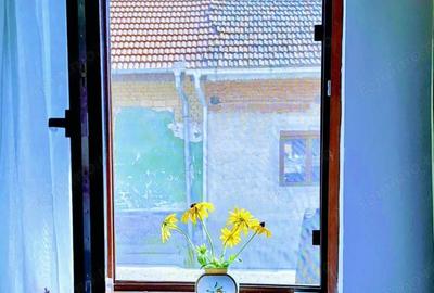 Casă cu 2 camere în Bănia - 1