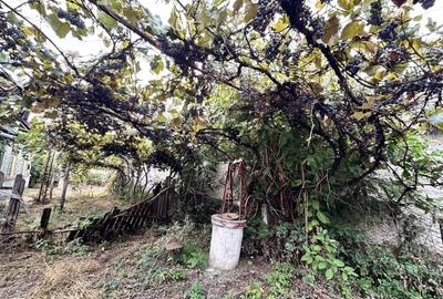 CASUTA DE VANZARE - TEREN 1000 MP - CONTESTI - 8