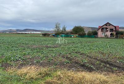 Teren 10 000 Mp Deschidere E60, Zona Aeroport/Autostrada, Ungheni - 2