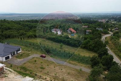 Teren pretabil constructii/10 min de Baia Mare - 4