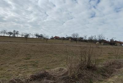 Teren Construcții intravilan de 2748 mp, în Fâșca - 5