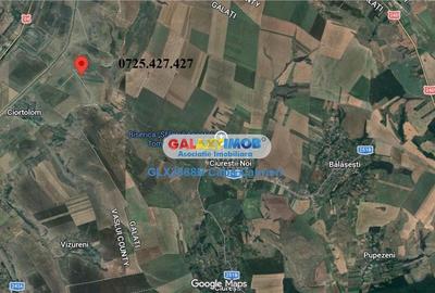 Teren extravilan de 25000 mp, în Nord - 3