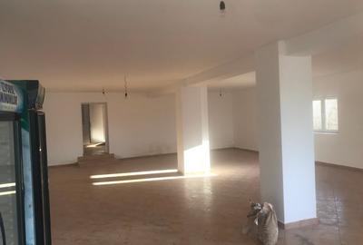 Casa (spațiu comercial) de vânzare Bălăceanu - 4