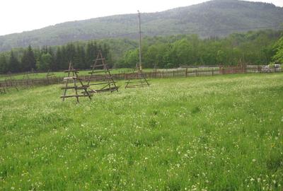 Teren de 11000 mp, în Valea Doftanei - 8