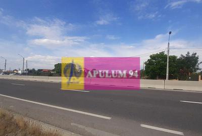 Teren de 2000 mp, în 1 Decembrie - 3