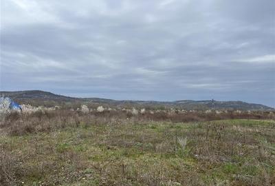 Teren Construcții intravilan de 10000 mp, în Orașul Nou