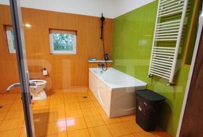 Ap deosebit, 121 mp, luminos si spatios in Fratelia, zona li - 5