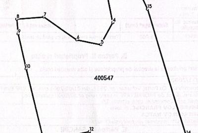 Teren de vanzare 6000 mp cu iesire la Lac Surduc - 4