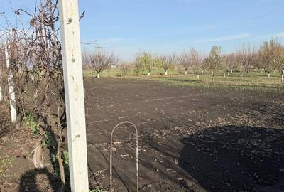 Teren non-agricol 5000 mp cu casă modernă mobilată, hală și garaje automatizate - 6