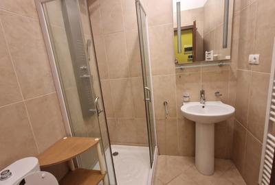 Apartament 4 camere, open space, 150mp, Central - 13