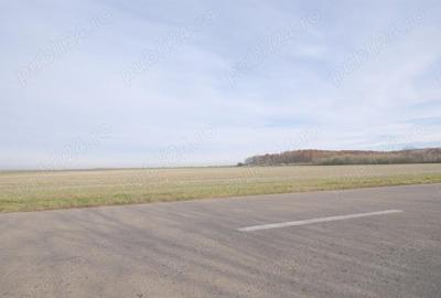 Teren de 270000 mp, în Gherghița - 2
