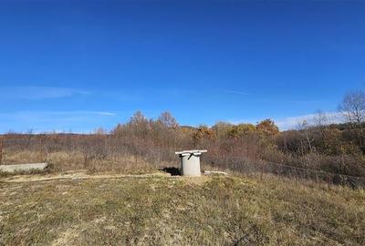 Rezidenta noua, oportunitate personalizare, peste 1.500mp, Persani, Brasov - 14