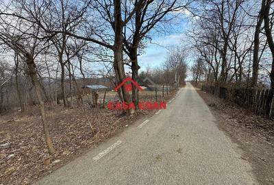 Teren intravilan in Cornu--3074m--90.000e - 11