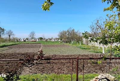 Casă cu 3 camere cu Teren 1000 Mp în Sânmihaiu Român - 9