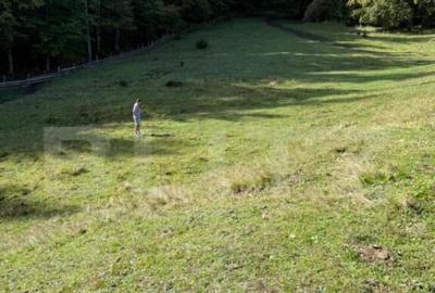 Teren intravilan 28 Ari zona Colibita - 5