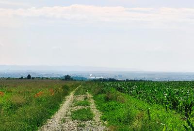 28.554 mp TEREN EXTRAVILAN, TURDA - SĂNDULEȘTI, jud. CLUJ, 300 m de AUTOSTRADA - 41