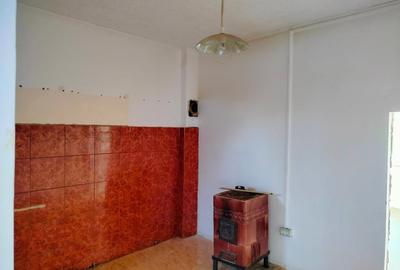 Garsonieră nedecomandată în Podgoria - 2