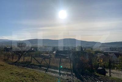 Teren de 10000 mp, în Unirea