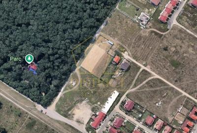 Teren Construcții intravilan de 2791 mp, în Dumbrăvița - 1