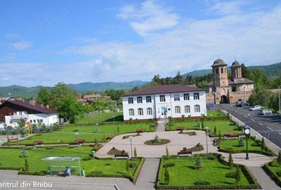 Casă cu 6 camere cu Teren 3500 Mp în Brebu - 3