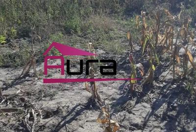 Teren Intravilan Sat Iazurile,Com.Valea Nucarilor,Jud.Tulcea - 3