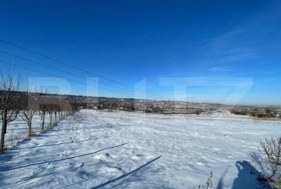 Teren de 9600 mp, în Rădășeni - 2