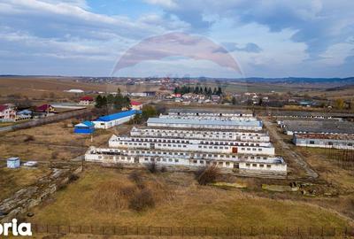 Teren de 39600 mp, în Traian - 10