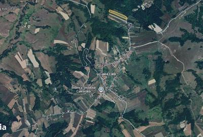 Teren de 7024 mp, în Ciucea - 2