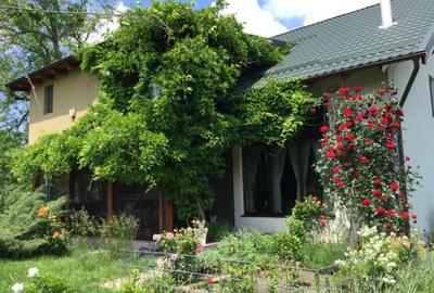 Vila de poveste 5 camere zona Bolintin Vale, judetul Giurgiu - 11