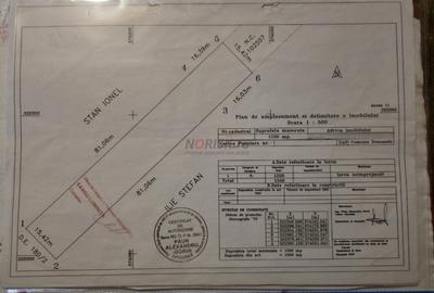 Teren Construcții intravilan de 1500 mp, în Domnești - 3