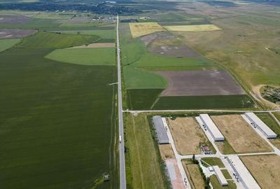 Teren Intravilan Investiții 11.600 mp Salonta - 11