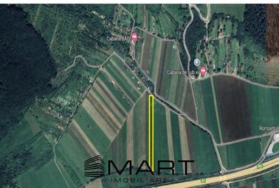 Teren agricol extravilan de 4800 mp, în Cristian - 1