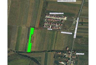 Teren de 8000 mp, în Șura Mică - 1
