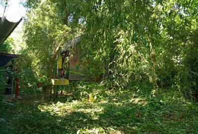 Teren de 1000 mp, în Vărbila - 1