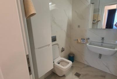 Apartament cu 3 camere decomandat, mobilat în Eremia - 8