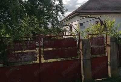 Casă cu 5 camere cu Teren 1500 Mp în Vrata - 5