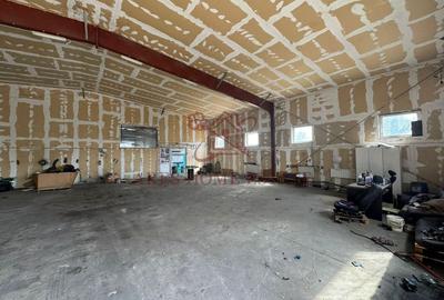 Spațiu industrial, de 228 mp, în Moșnița Nouă - 5
