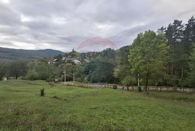 Teren de 4000 mp, în Moroeni - 7