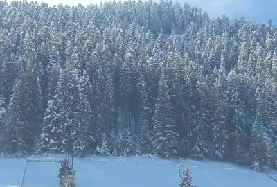 Casă cu 3 camere cu Teren 300 Mp în Câmpulung Moldovenesc - 2