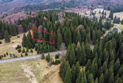 Teren cu potential:1.000 mp,proiect turistic/rezidential,Poiana Brasov - 6