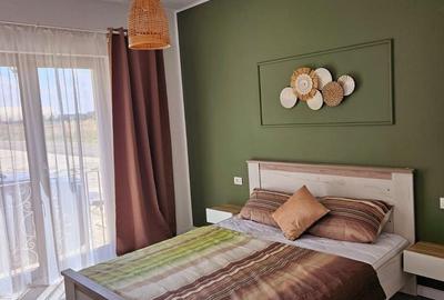 Aradului – Dumbravita – Apartament 2  Camere – Amenajat Modern - 3